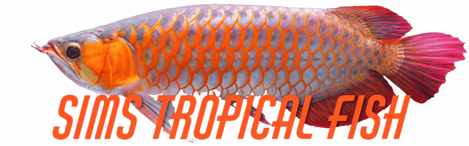 Sims Tropical Fish