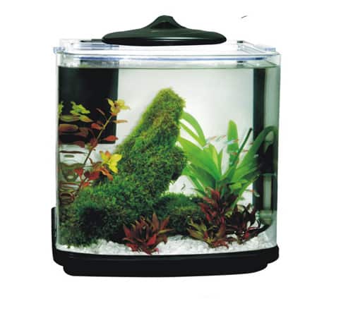 20Ltr Bow Fronted Nano Aquarium