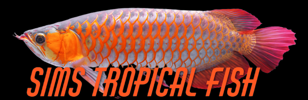 Sims Tropical Fish