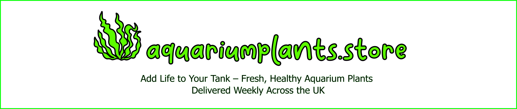 aquarium plants store