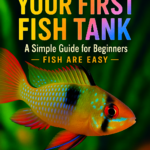 How to Set Up Your First Fish Tank: A Simple Guide for Beginners: Fish Tank Setup, Aquarium Cycling, Equipment, and Easy Maintenance Tips (Fish Are Easy) Paperback – 15 Dec. 2025