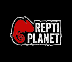 Repti Planet
