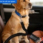 Adjustable Elastic Dog Car Seat Belt with Bungee Buffer, Reflective Nylon Safety Restraint Tether